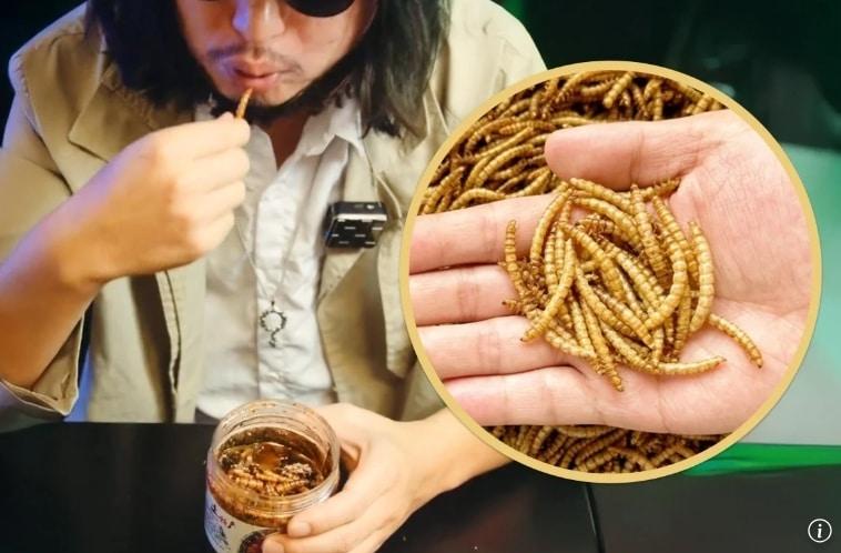 본문 이미지 - (중국의 온라인 커뮤니티 '절약남자협회'에서 공개한 '밀웜 식단' SCMP)