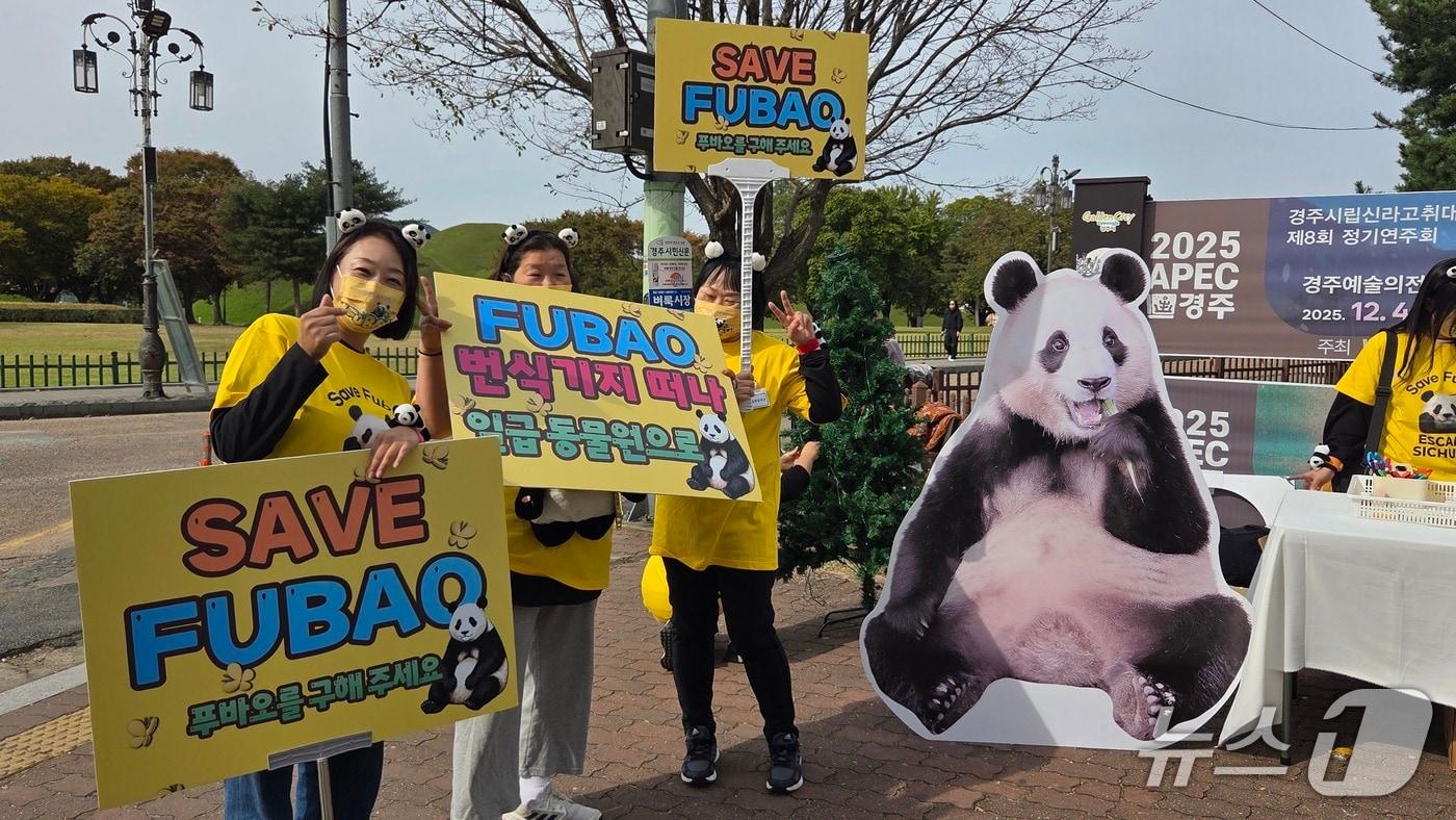 30일 경북 경주시 황리단길 일대에서 '푸바오와 푸덕이'라는 동물단체가 집회를 열고 있다.2025.10.30/뉴스1 ⓒ News1 이성덕 기자