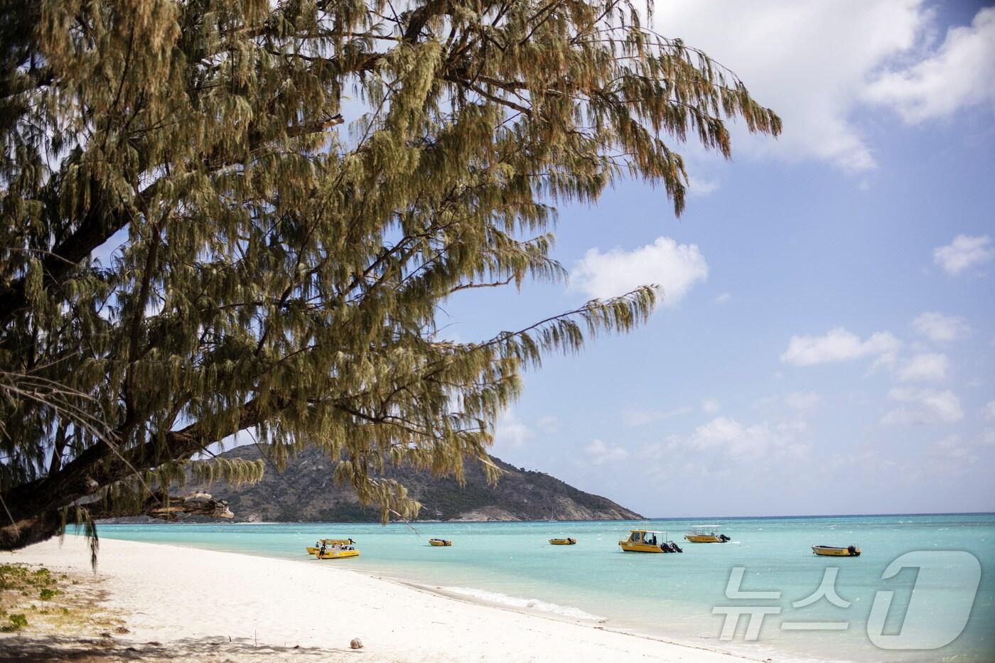 호주 퀸즐랜드 연안 리저드섬의 모습. 2019.10.22. ⓒ 로이터=뉴스1 ⓒ News1 윤다정 기자