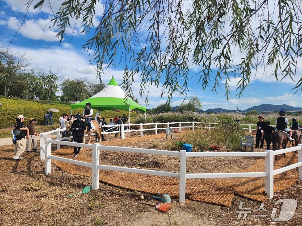 본문 이미지 - 지난해 순천만국가정원 내 스페이스브릿지 하부 동천변에서 열린 도심승마체험에 시민들이 참여하고 있다. (순천시 제공. 재판매 및 DB금지)