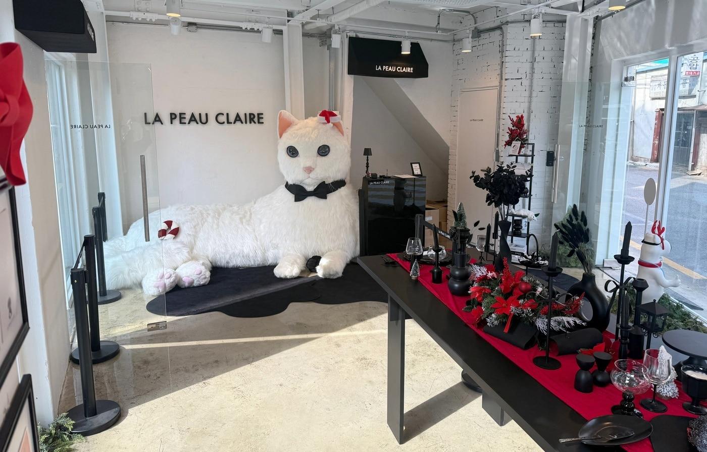 3m 고양이 조형물이 설치된 라퓨클레르 동물피부클리닉 서울 성수 팝업 스토어 내부&#40;병원 제공&#41; ⓒ 뉴스1