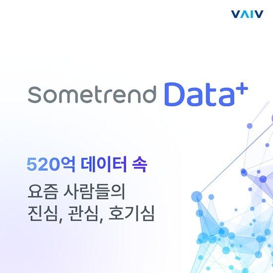 본문 이미지 - Sometrend Data+ / 이미지=바이브컴퍼니 제공