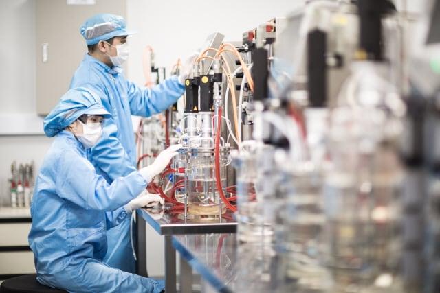 본문 이미지 - 대웅제약 연구원들이 실험실에서 신약개발 연구에 집중하고 있다.&#40;대웅제약 제공&#41;/뉴스1