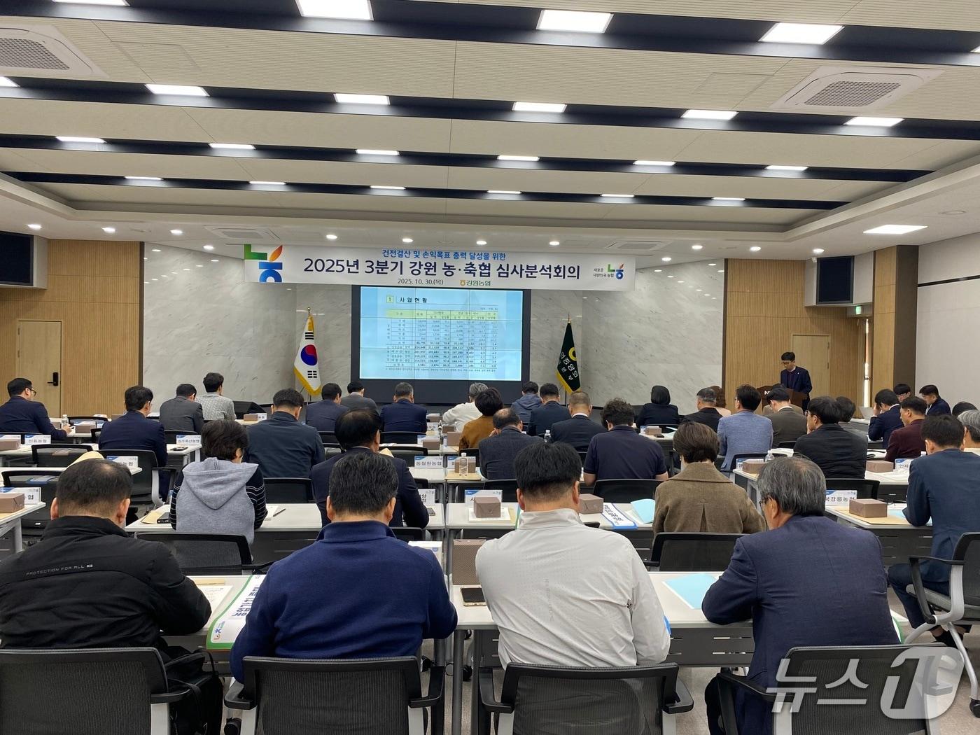 본문 이미지 - 강원농협, 3분기 농축협 심사분석 회의.&#40;농협 강원본부 제공. 재판매 및 DB금지&#41;/뉴스1