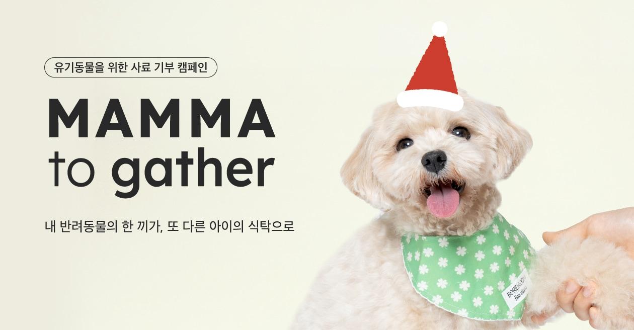 본문 이미지 - 네츄럴코어 캠페인 ⓒ 뉴스1