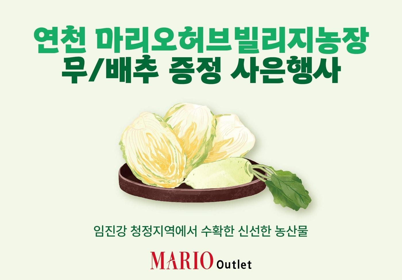 &#40;마리오아울렛 제공&#41;. 