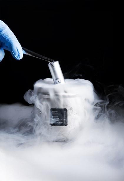 본문 이미지 - 사진=유어벳 제공