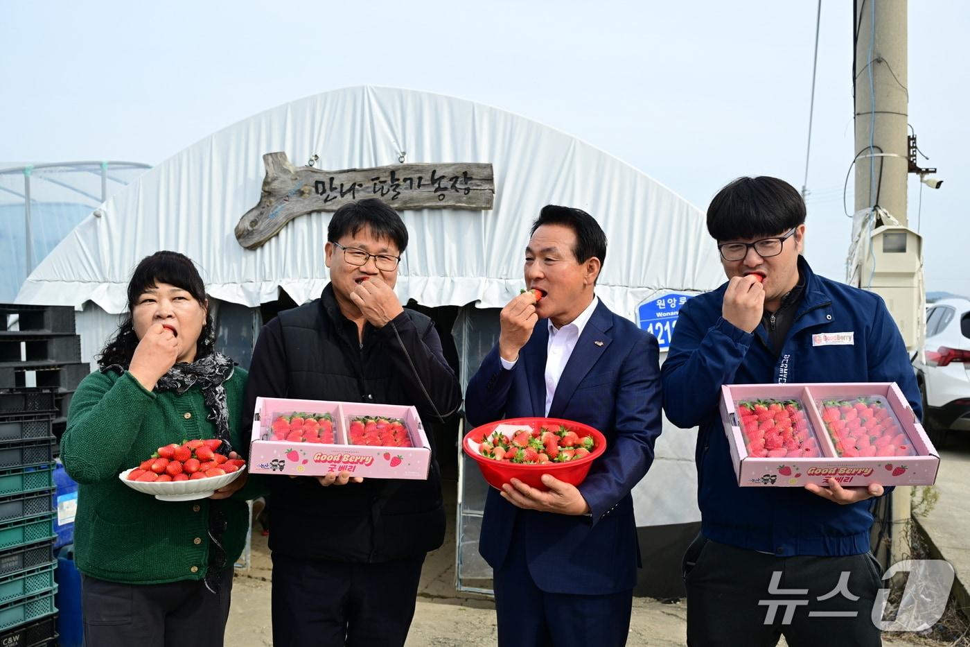 조이베리 첫 출하 기념사진(논산시 제공.재판매 및 DB금지)/뉴스1