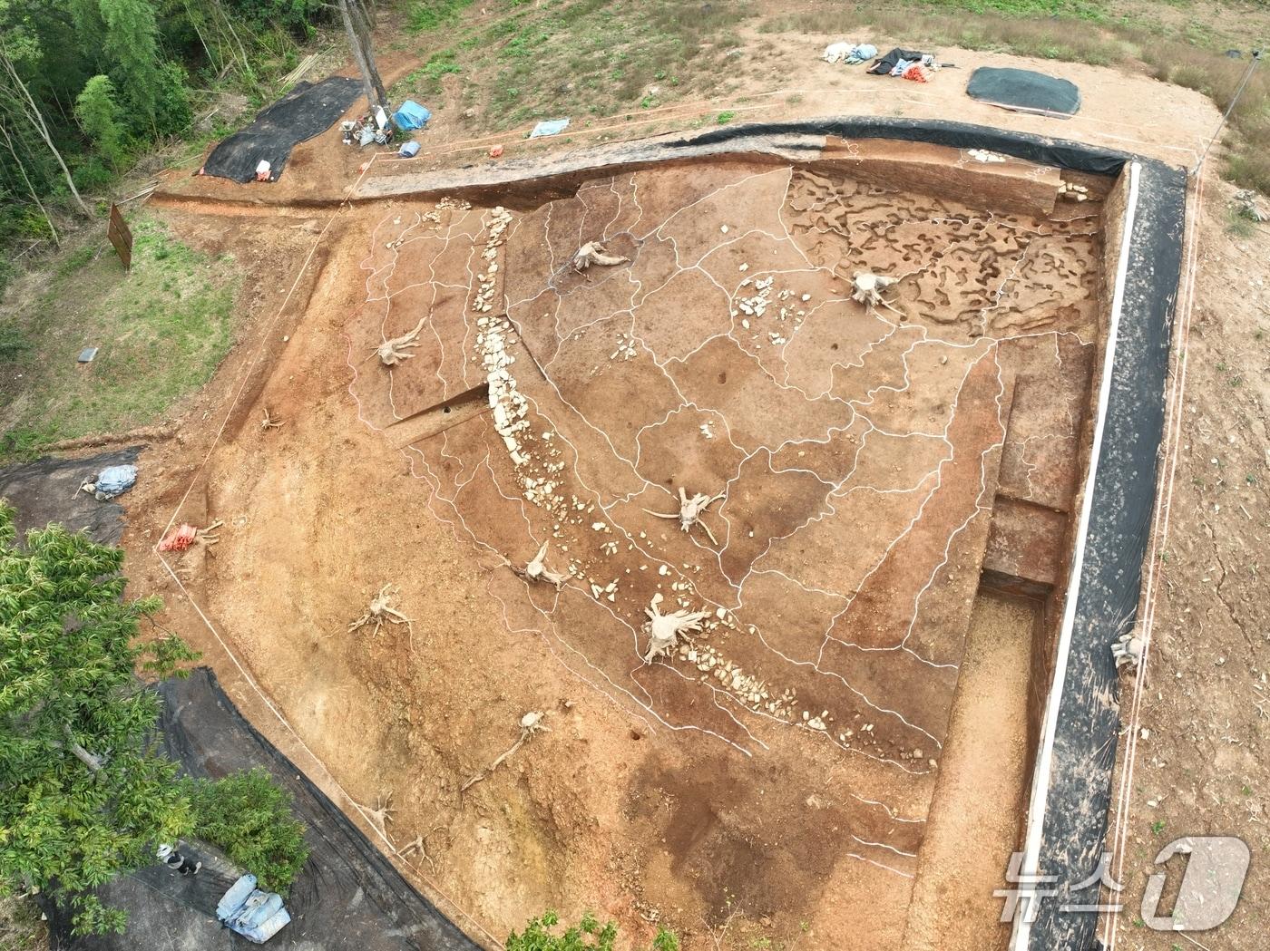 본문 이미지 - 고성 송학동 고분군 14호분 즙석(葺石) 설치 모습(경남도 제공. 재판매 및 DB금지)