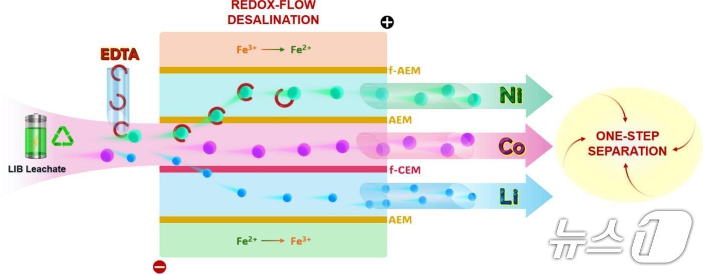 금속 이온 분리막.&#40;순천향대 제공. 재판매 및 DB금지&#41;