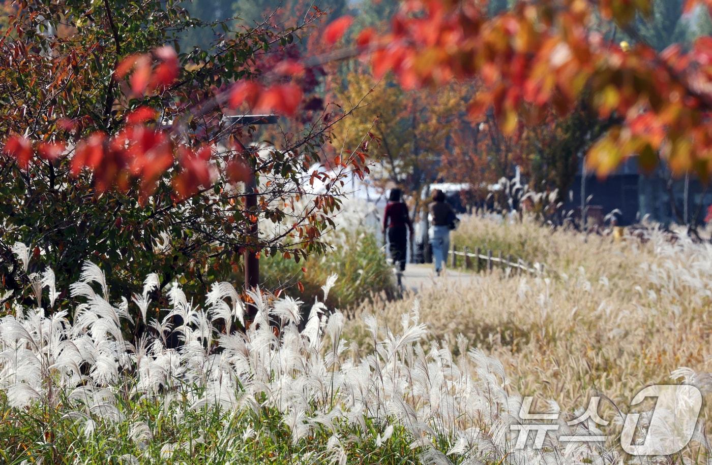 자료사진/뉴스1 ⓒ News1 