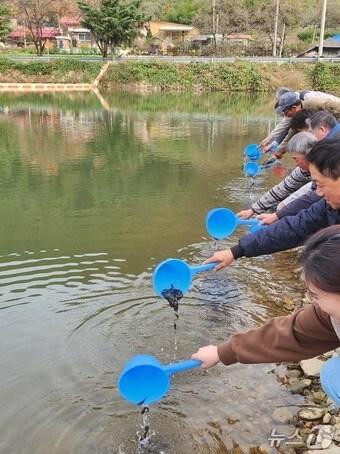 본문 이미지 - 토종어류 방류행사 장면&#40;영동군 제공. 재판매 및 DB금지&#41; /뉴스1 