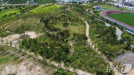 본문 이미지 -  충주 시민의 숲.(자료사진)/뉴스1