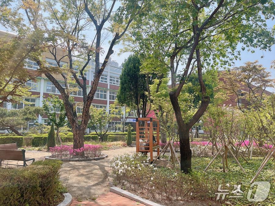 본문 이미지 - 산림청이 선정한 올해 '학교숲 조성' 분야에서 경북여고가 최우수상을 받았다. 경북여고에 조성된 학교숲. (대구시 제공. 재판매 및 DB 금지)/뉴스1