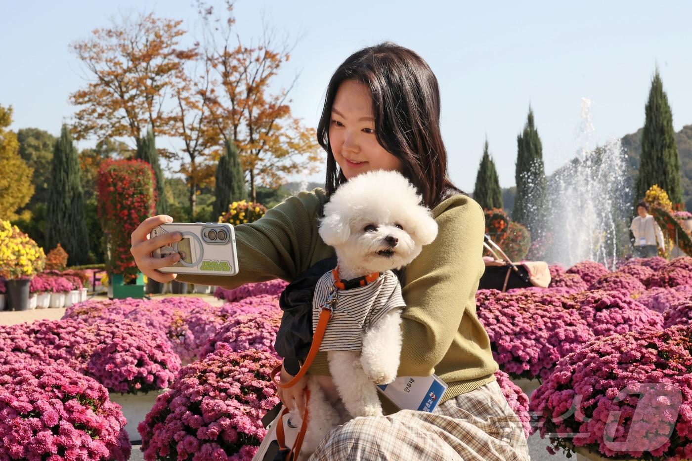 31일 전북 임실군 치츠테마파크에서 두 번째 펫투어가 열리고 있는 가운데 견주가 반려견과 사진을 찍고 있다.&#40;임실군제공. 재판매 및 DB금지&#41;2025.10.31/뉴스1 ⓒ News1 김동규 기자