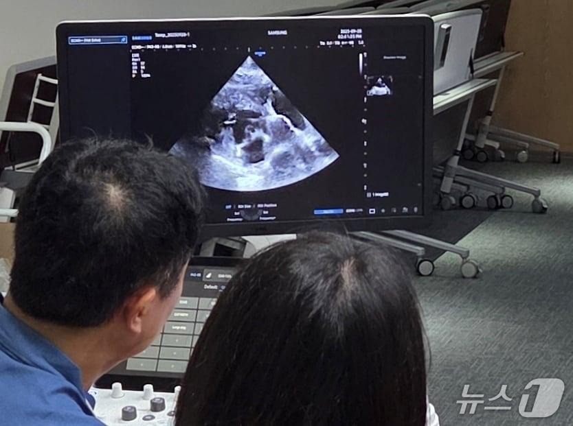 본문 이미지 - 9월 28일 송도에서 열린 인천수의컨퍼런스에서 초음파 실습이 진행되고 있다. ⓒ 뉴스1