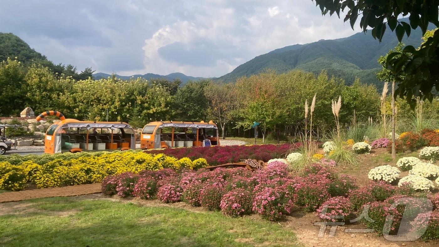 경북도 봉화군의 대표 가을 축제인 ‘2025 백두대간 봉자페스티벌’이 12일까지 국립백두대간수목원에서 열린다&#40;봉화군 제공. 재판매 및 DB금지&#41; /뉴스1