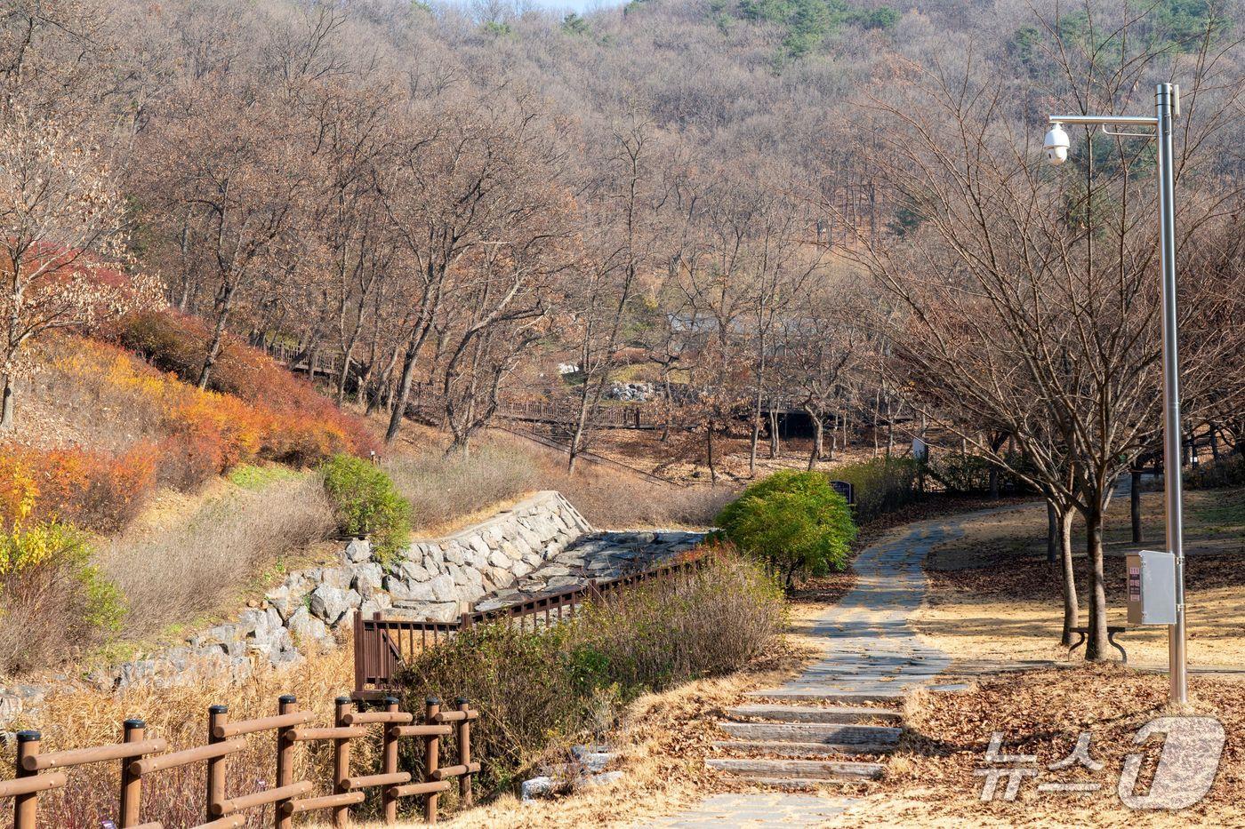 파주 의주길 제5길 임진나룻길.&#40;경기도 제공. 재판매 및 DB금지&#41;
