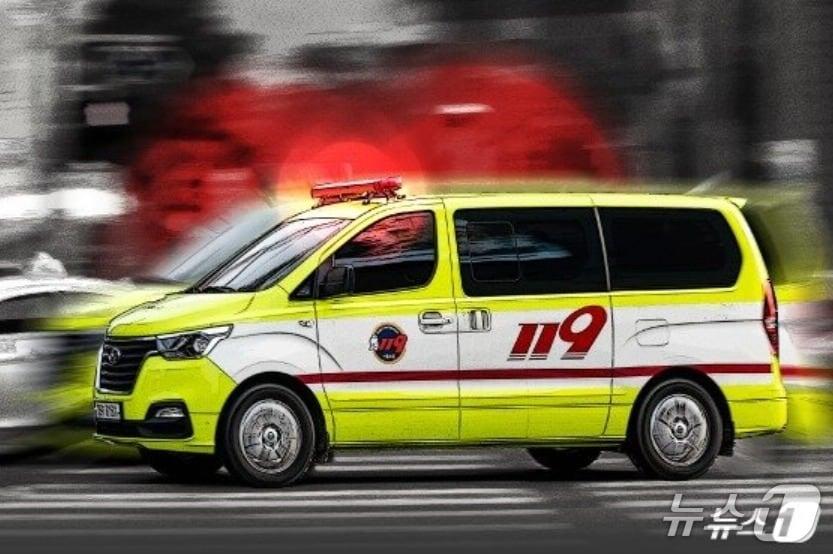 본문 이미지 - ⓒ News1 김지영 디자이너