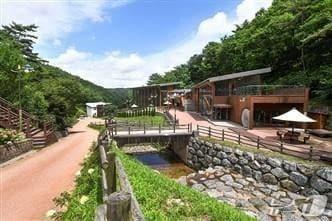 본문 이미지 - 경북 영양군 흥림산에 있는 에코둥지 휴양림.(경북도 제공, 재판매 및 DB 금지)
