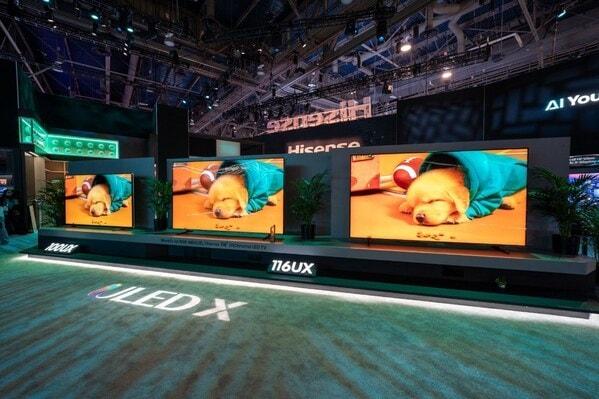 본문 이미지 - 하이센스가 CES 2025에서 선보인 116인치 미니 RGB TV&#40;하이센스 제공&#41;. ⓒ 뉴스1