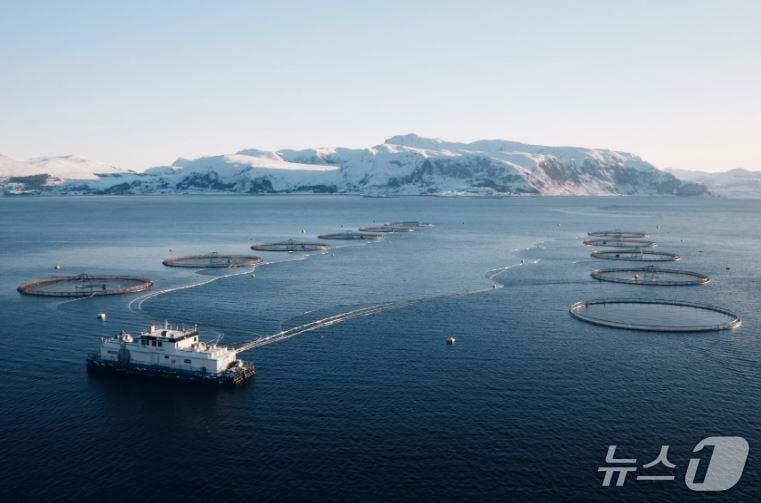 본문 이미지 - 노르웨이의 대표적인 글로벌 연어양식 기업인 모위의 해상 양식장&#40;출처: 모위 누리집&#41;