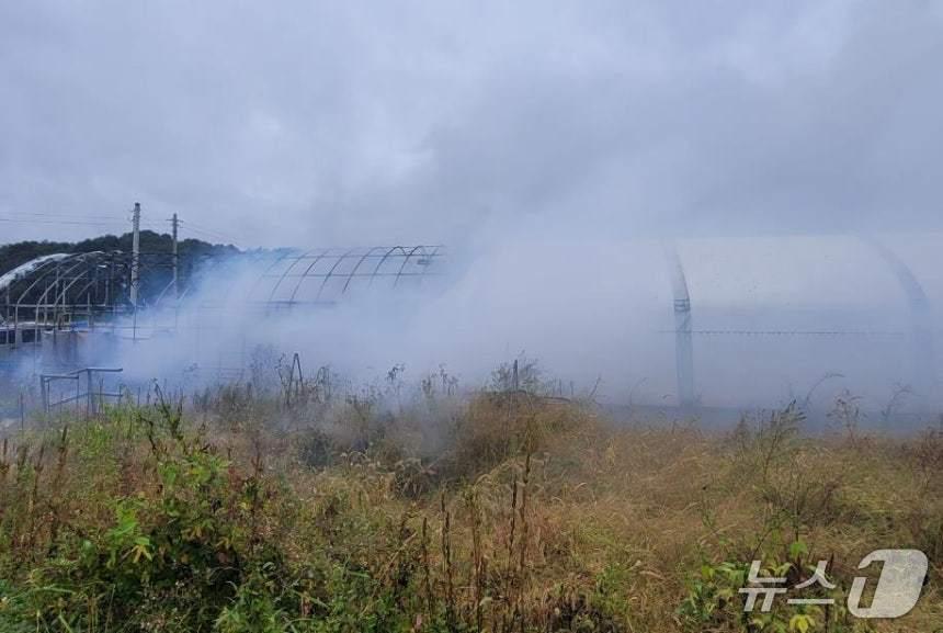 본문 이미지 - 비닐하우스 화재 현장 (인천소방본부 제공.재판매 및 DB금지)