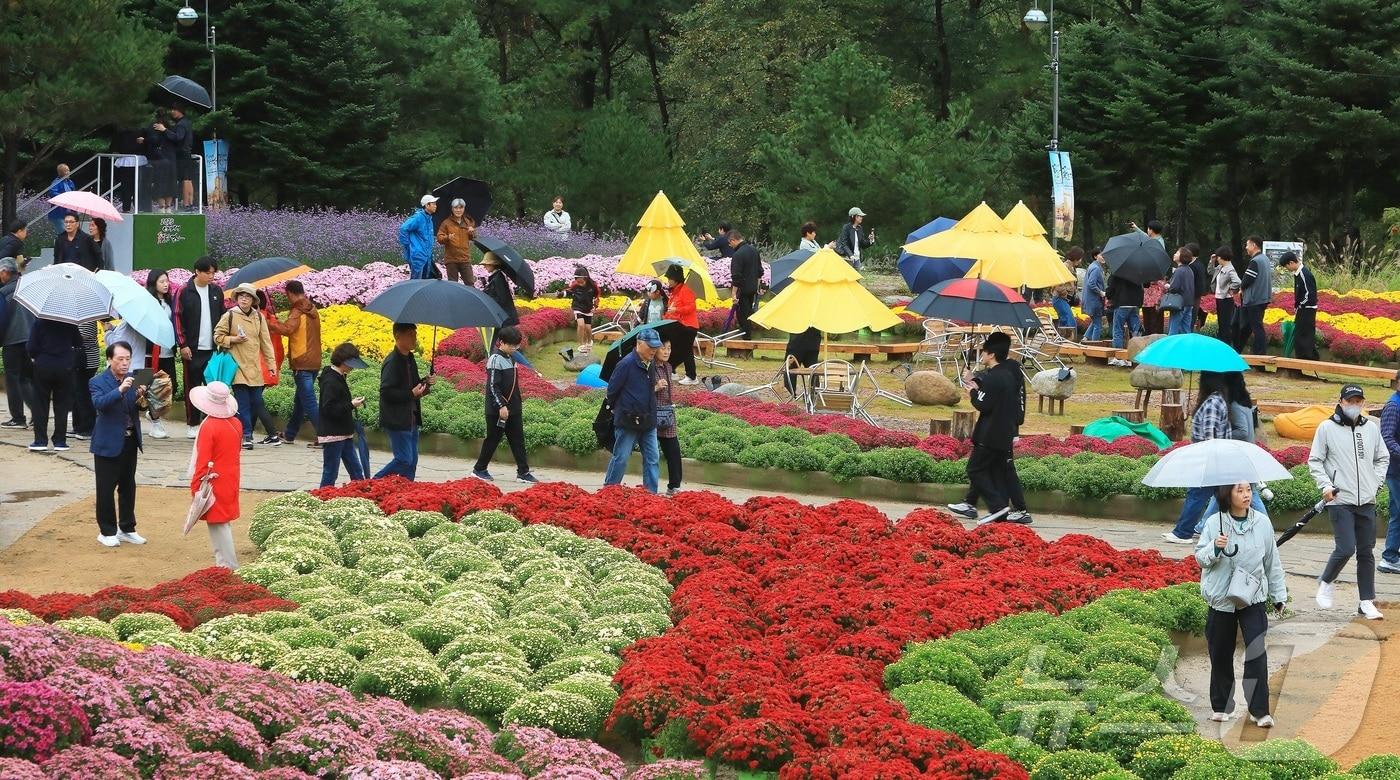 7일 오후 강원 인제군 북면 용대리 일원에서 열린 &#39;2025 인제 가을꽃 축제&#39;에서 관광객들이 우산을 쓰고 꽃길을 거닐며 추억을 쌓고 있다.&#40;인제군 제공. 재판매 및 DB금지&#41; 2025.10.7/뉴스1 ⓒ News1 이종재 기자