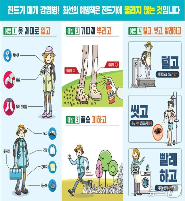 본문 이미지 - 가을철 야외활동시 진드기 주의 안내. /뉴스1 DB