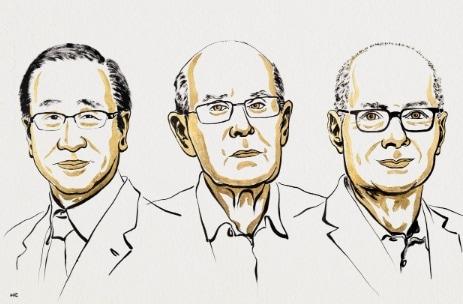 본문 이미지 - &#40;노벨위원회&#41;