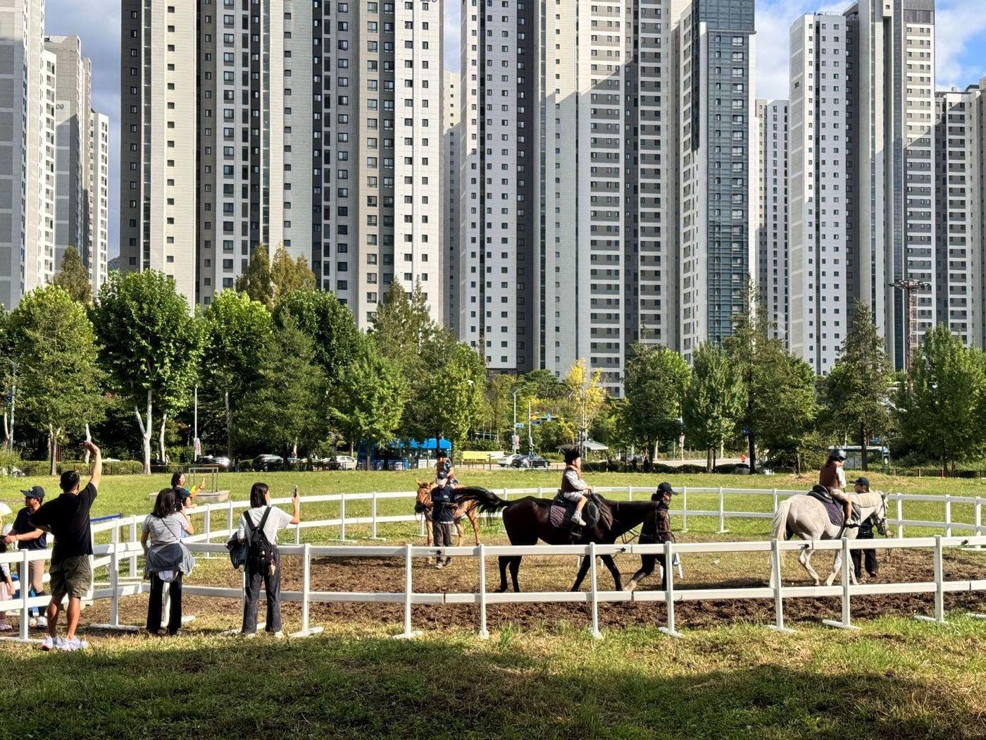 본문 이미지 - 한국마사회는 9일부터 11일까지 세종호수공원에서 도심승마 체험행사를 갖는다 &#40;한국마사회 제공&#41;