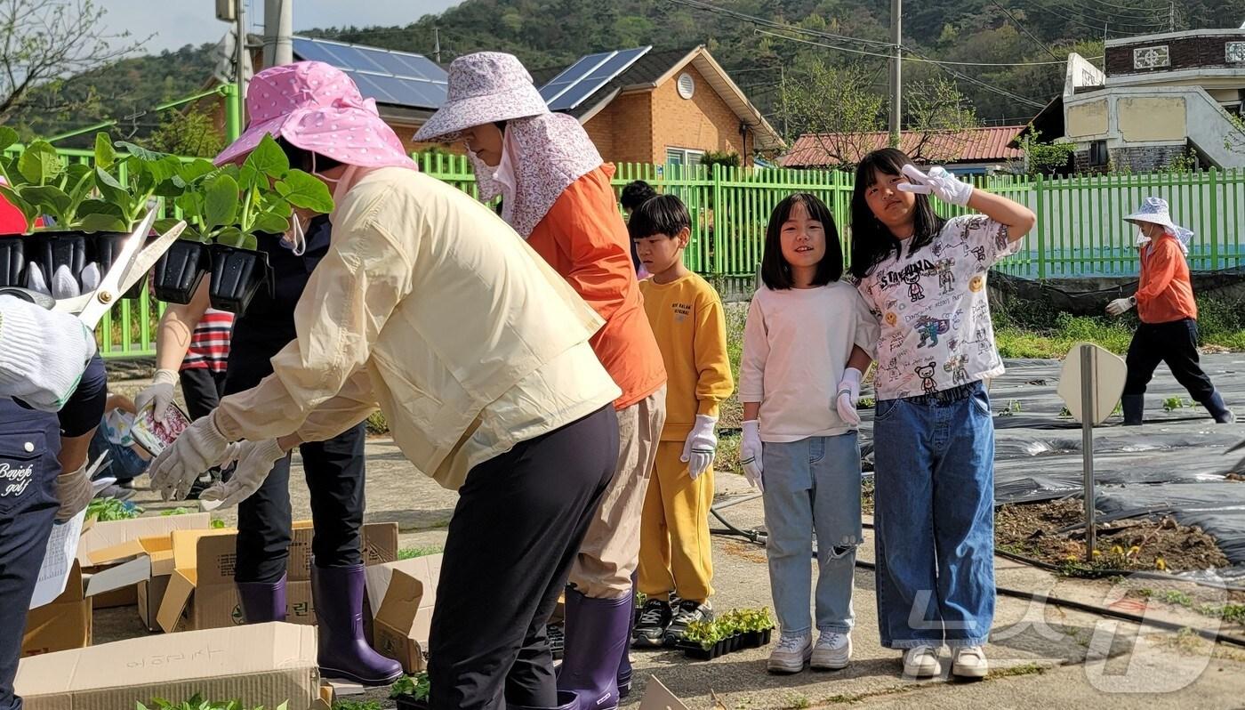 광주교육청이 첫 인성교육 연구학교로 지정한 임곡초등학교에서 텃밭 조성을 하고 있다.&#40;광주교육청 제공. 재배포 및 DB 금지&#41;