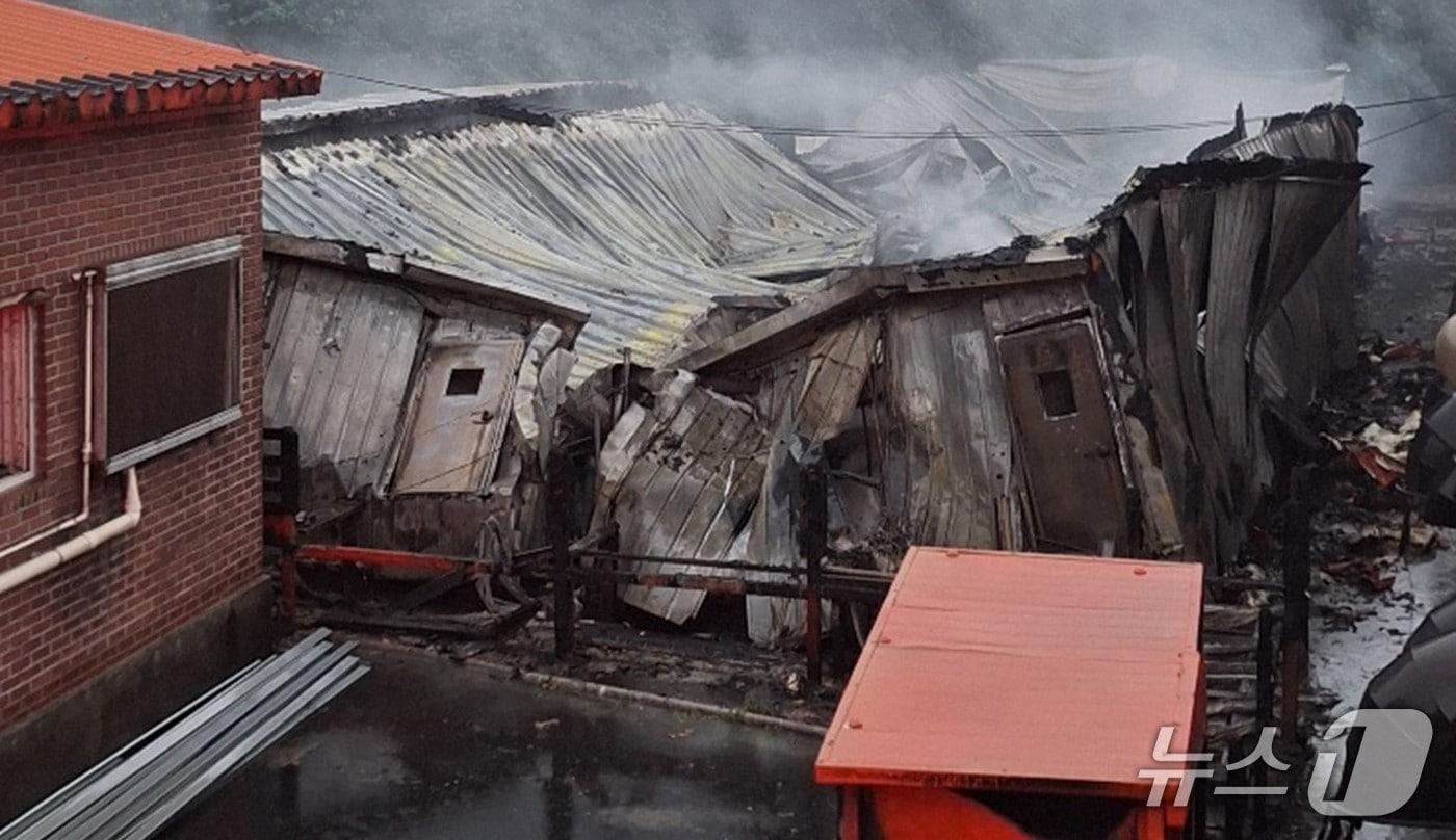 9일 오전 6시30분쯤 경북 영덕군 병곡면에 있는 한 돈사에서 불이 나 1100여 마리가 폐사했다. (경북소방본부제공, 재판매 및 DB금지) 2025.10.9/뉴스1  