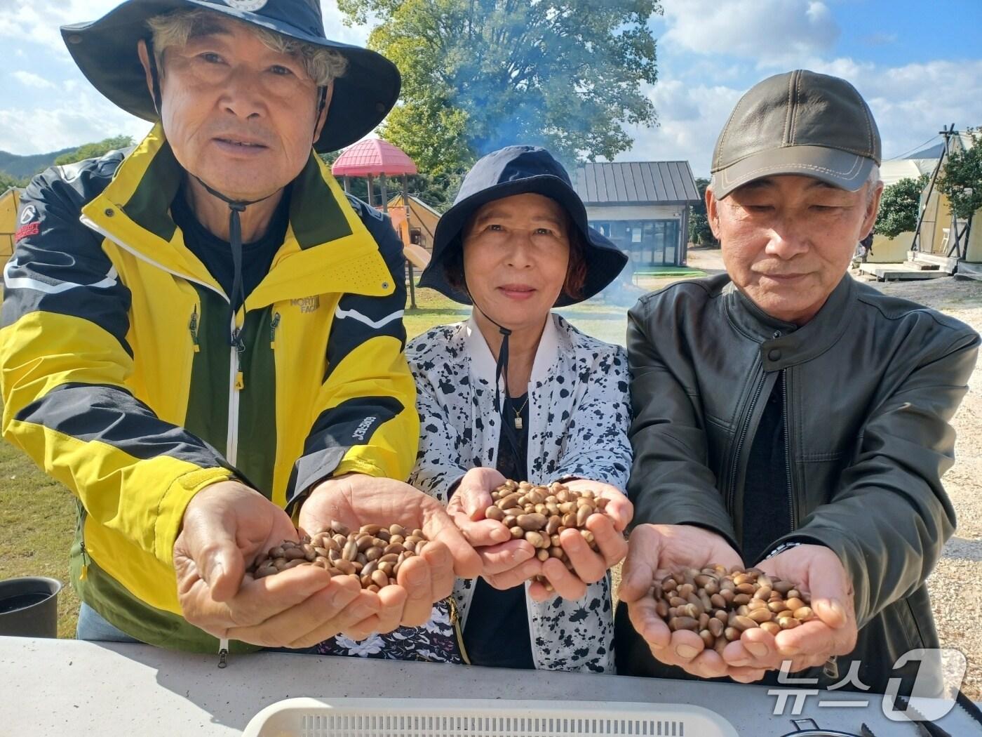 본문 이미지 - 1일 전남 장흥군 정남진수목원에서 구실잣밤나무 열매들 들고 있는 관람객들의 모습.2025.11.1/뉴스1 박영래 기자
