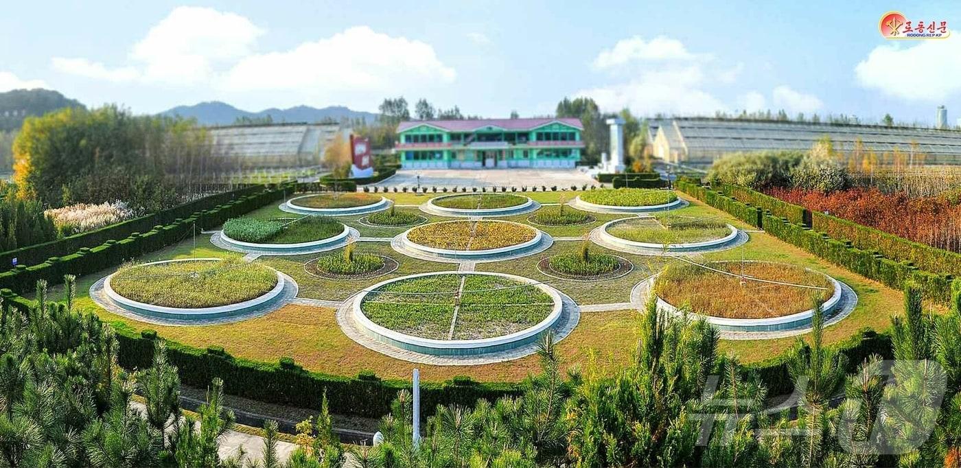 &#40;평양 노동신문=뉴스1&#41; = 북한 노동당 기관지 노동신문은 10일 &#34;경애하는 총비서 동지의 구상에 따라 산림복구가 개시된 이래 각지에 현대적인 양묘장들이 일떠서고 100여만 정보의 산림이 새로 조성됐으며 1만여 개의 단위가 사회주의 애국림 칭호를 쟁취하였다&#34;라고 보도했다. [국내에서만 사용가능. 재배포 금지. DB 금지. For Use Only in the Republic of Korea. Redistribution Prohibited] rodongphoto@news1.kr