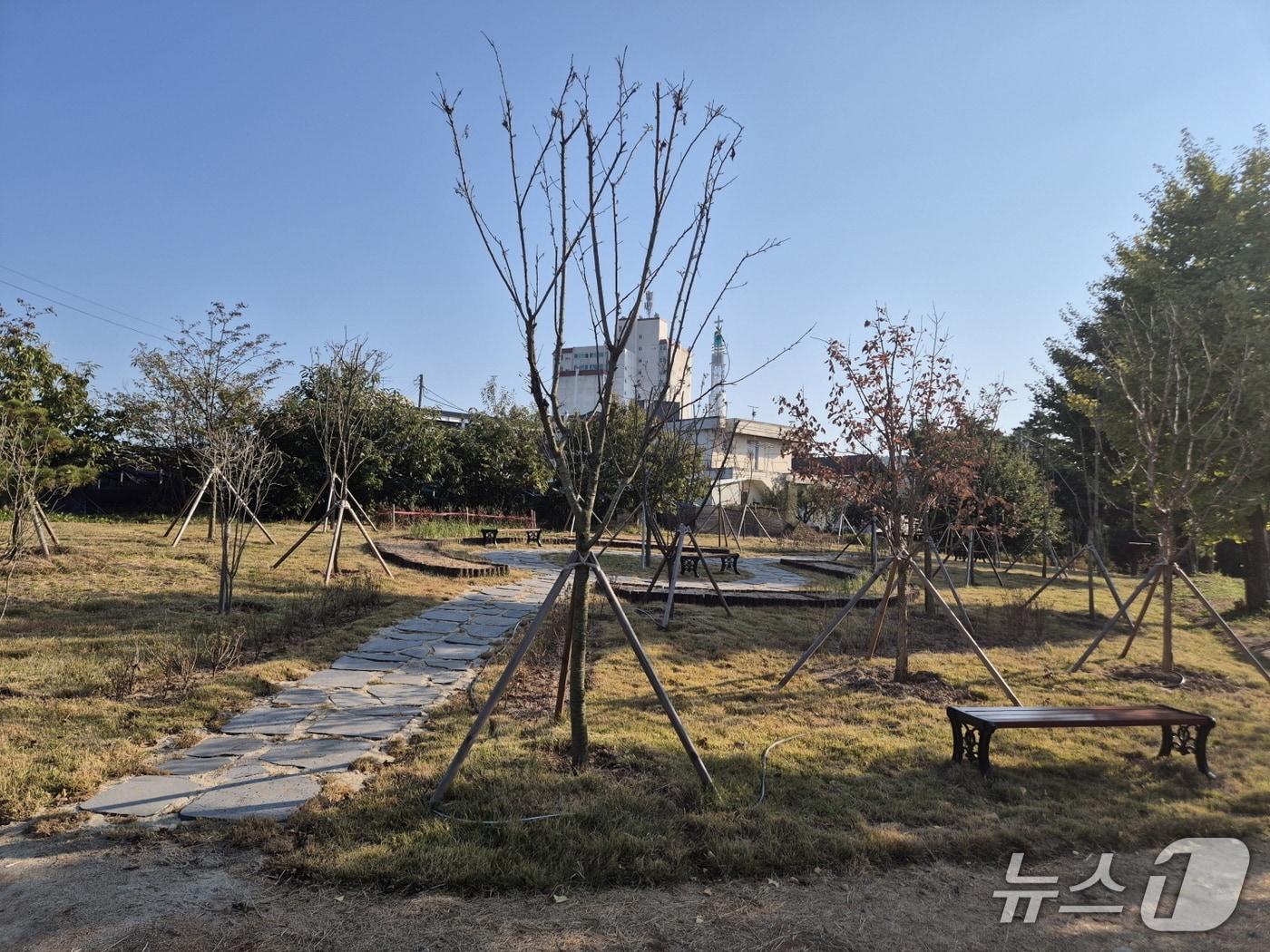 본문 이미지 - 예산 삽교초등학교에 조성된 학교숲 모습. (예산군 제공, 재판매 및 DB금지)  /뉴스1