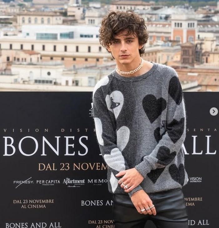 본문 이미지 - 티모시 샬라메의 인터뷰 내용이 팬들에게 질타를 받고 있다. 출처=인스타그램