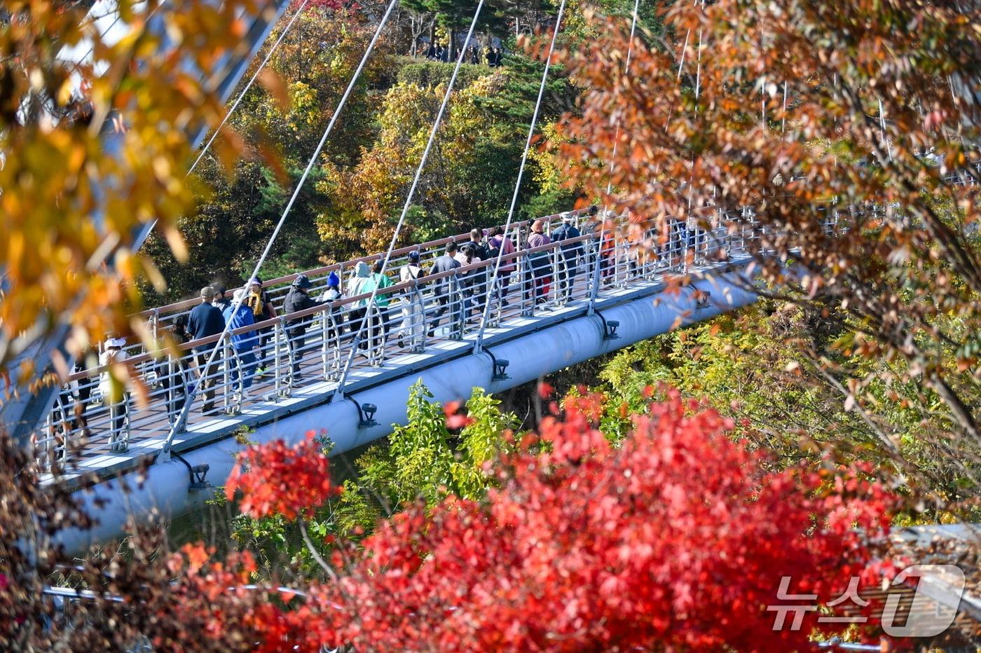 영주댐 전국 건강걷기대회 참가자들이 용미교를 걷고 있다.&#40;영주시 제공. 재판매 및 DB 금지&#41;2025.11.10/뉴스1