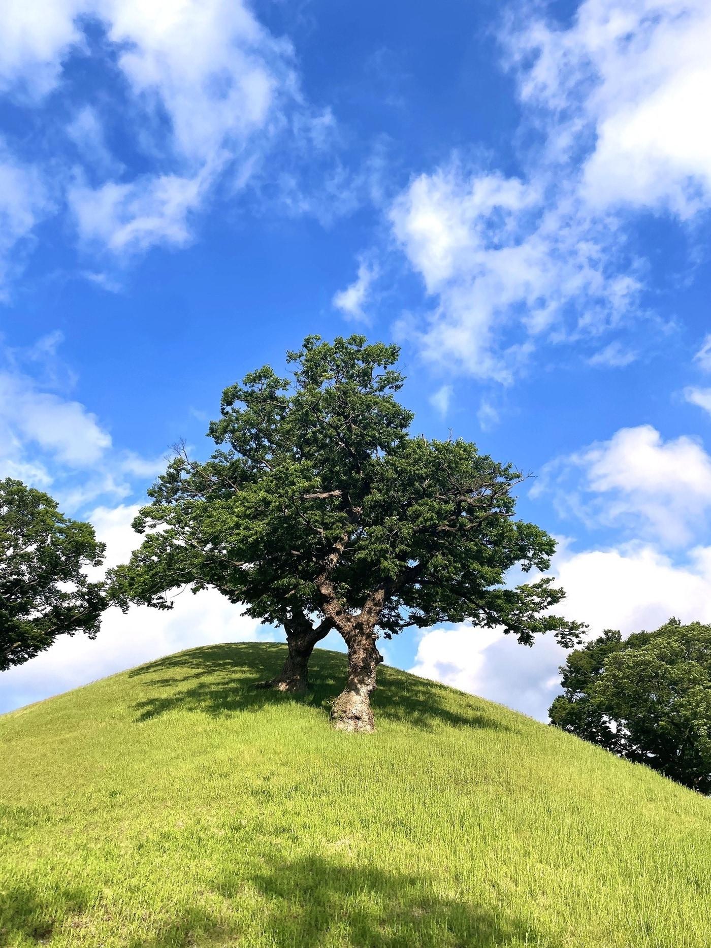 본문 이미지 - 제2회 HS효성 2026 사진 공모전 당선작&#40;HS효성 제공&#41;. ⓒ 뉴스1