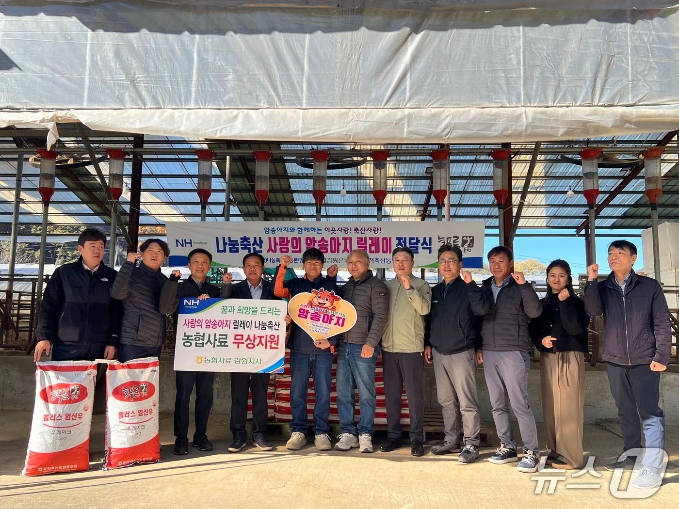 본문 이미지 - 사랑의 암송아지 릴레이 전달식.&#40;농협 강원본부 제공. 재판매 및 DB금지&#41;/뉴스1