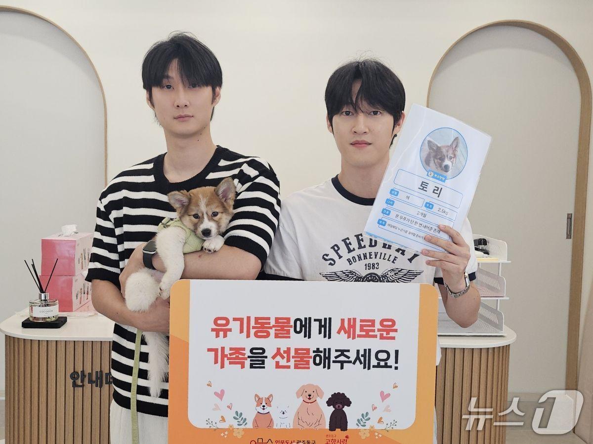 본문 이미지 - 피스멍멍 입양견 토리.(광주 동구 제공. 재판매 및 DB 금지)