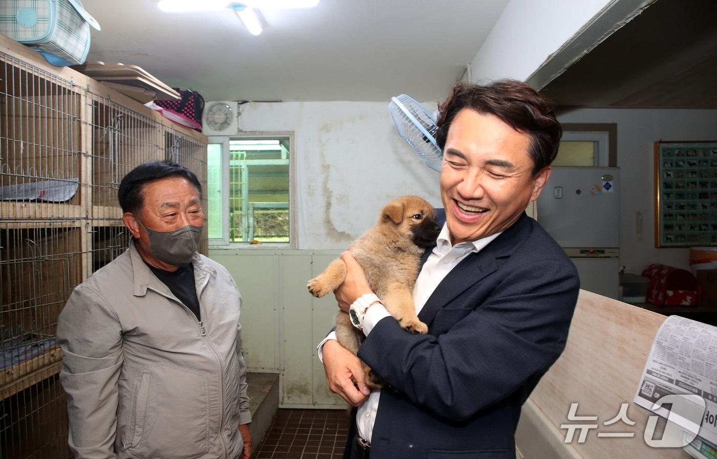 반려동물 사진.&#40;강원도 제공. 재판매 및 DB금지&#41;/뉴스1