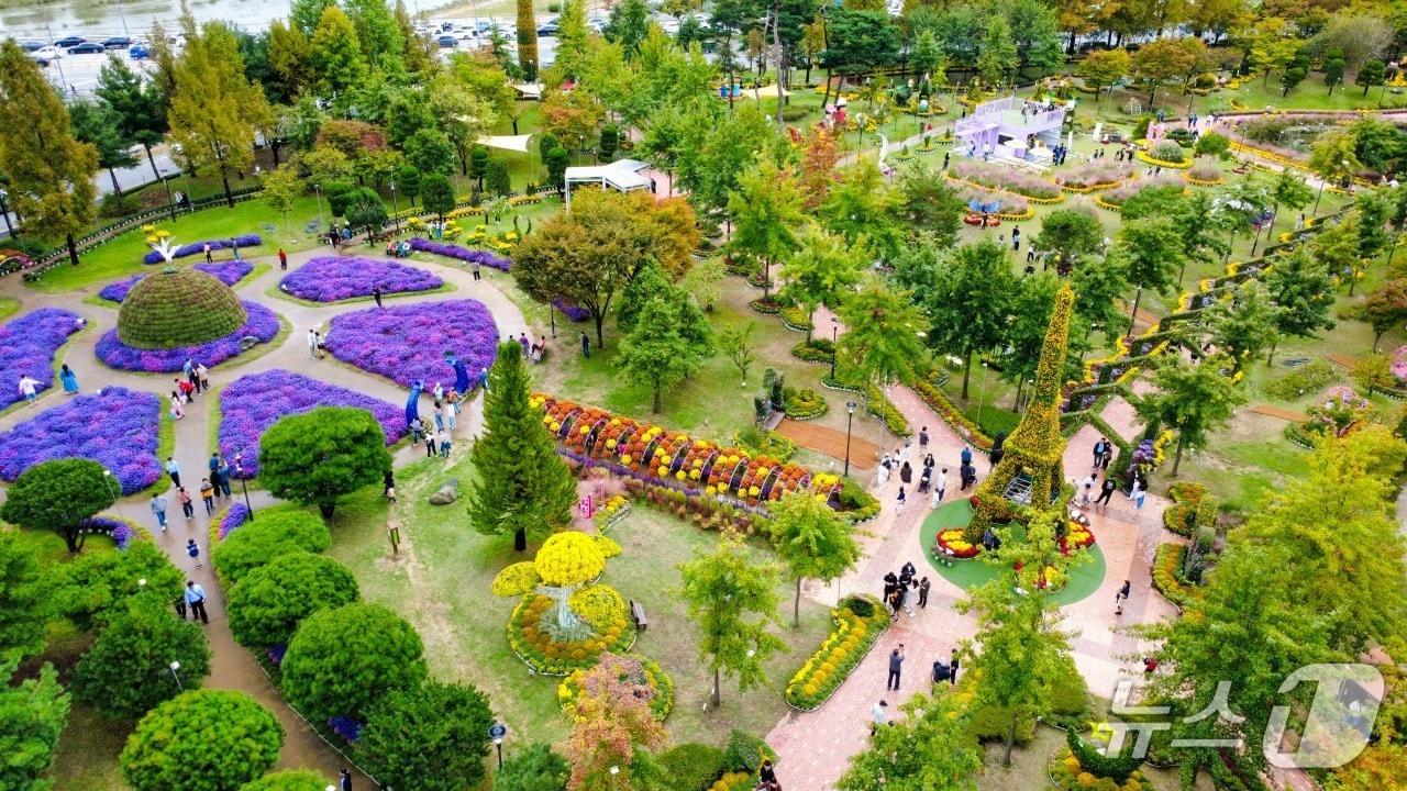 본문 이미지 - 유성국화축제 모습.(유성구 제공. 재판매 및 DB금지)/뉴스1