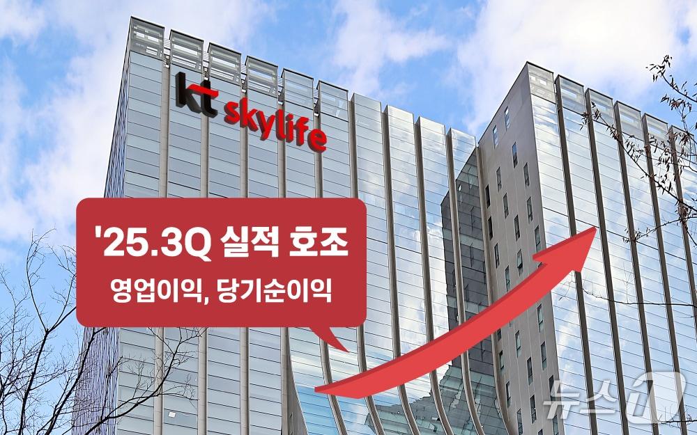 본문 이미지 - &#40;KT스카이라이프 제공&#41;