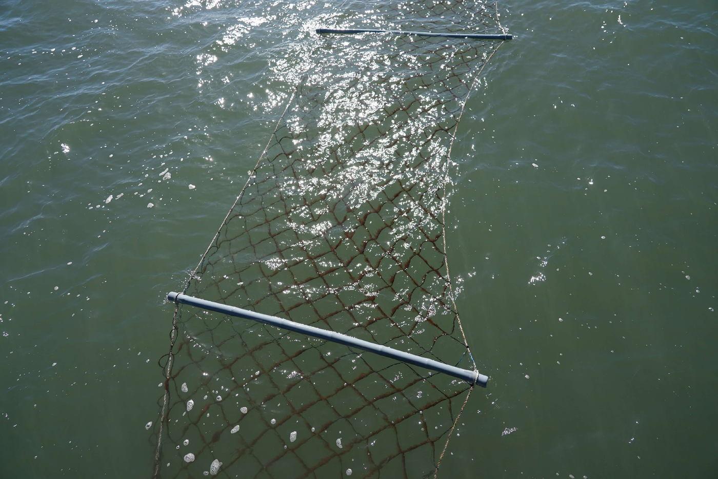 김 양식장 모습.(서천군 제공. 재판매 및 DB금지)/뉴스1