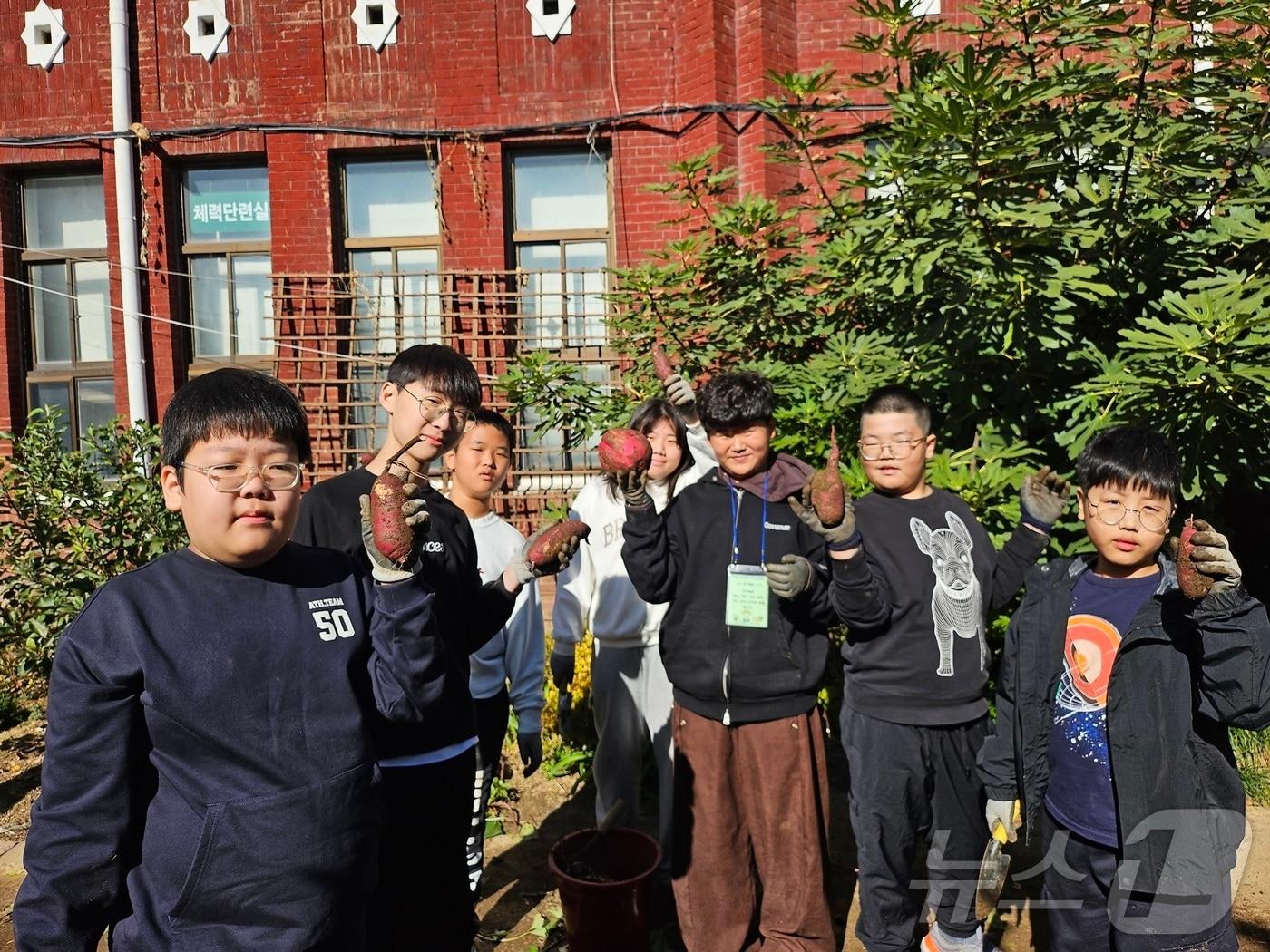 본문 이미지 - 광주 중앙초등학교가 10일 교내 텃논에서 ‘중앙 추수데이’행사를 열었다. &#40;광주교육청 제공. 재배포 및 DB 금지&#41;