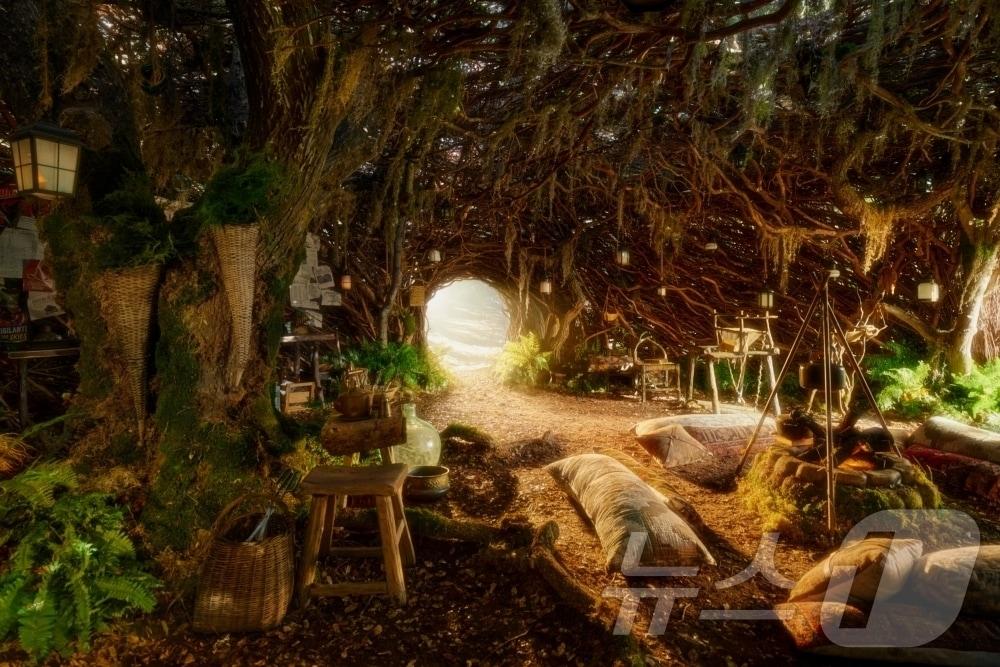 본문 이미지 - '위키드 포 굿' 속 엘파바의 은신처 이미지(에어비앤비 제공) 