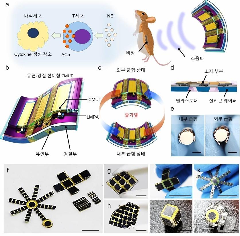 본문 이미지 - FTR 초음파센서의 설계와 응용(KAIST 제공) /뉴스1