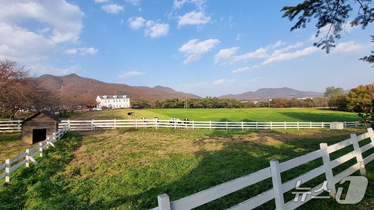 본문 이미지 - &#39;농도원목장&#39; 전경.&#40;용인시 제공&#41;