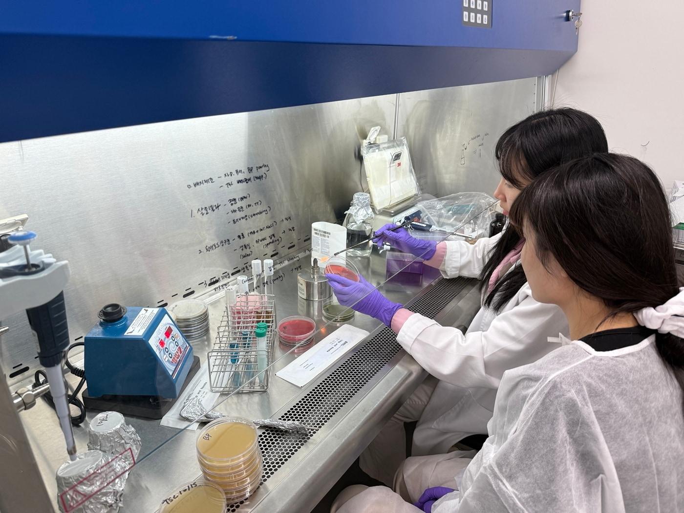 본문 이미지 - &#40;오뚜기 제공&#41;